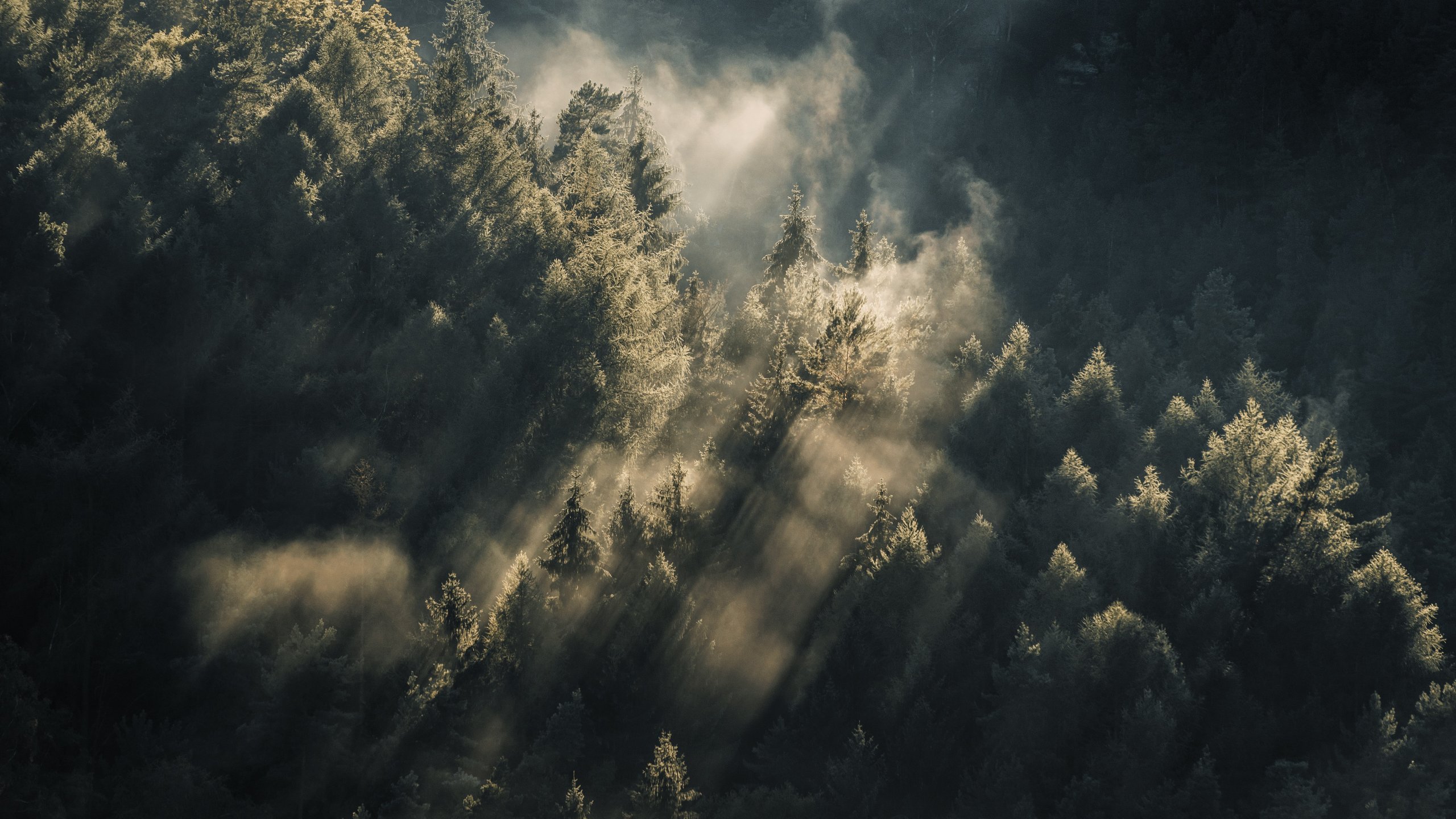 Nature